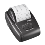 Stampante carta termica RTP 300