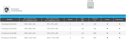 Armadi di sicurezza FORCEGUARD UG M-235 misure